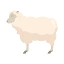 Illustration of sheep