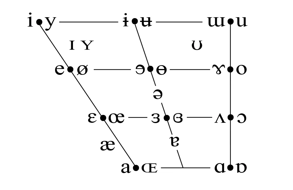 A chart showing IPA symbols compared to tongue positions